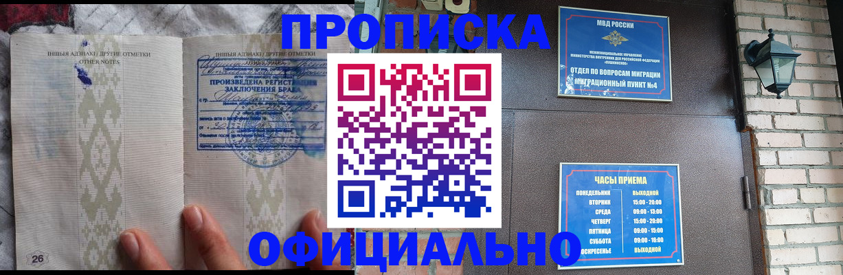 прописка поиск в Клинцах